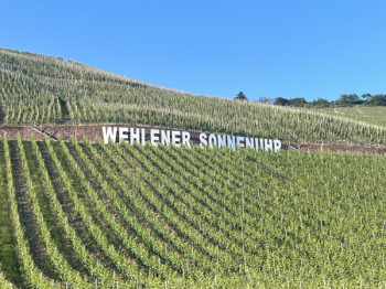 Wehlener Sonnenuhr