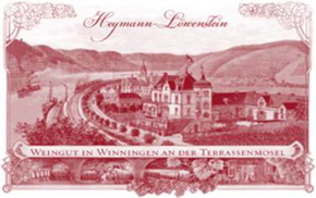 2021 Schieferterrassen Riesling