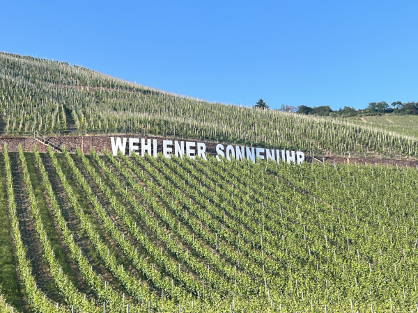 Wehlener Sonnenuhr