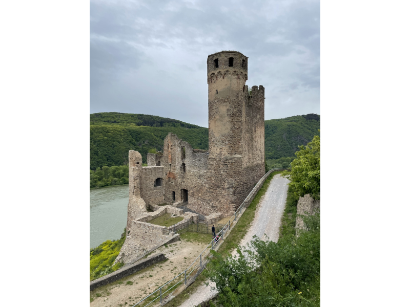 Burg Ehrenfels Rheingau