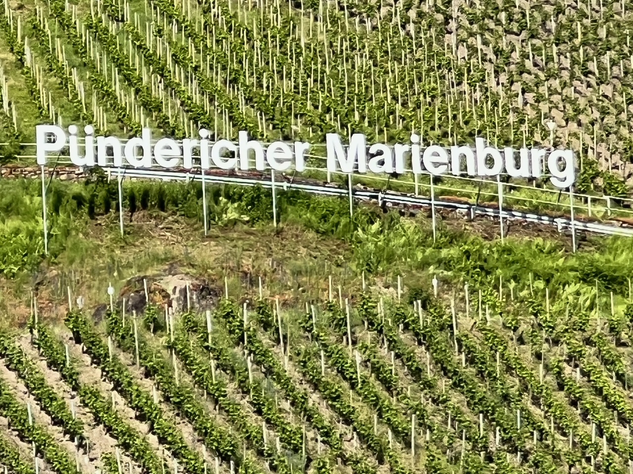 Pünderich Marienburg Mosel