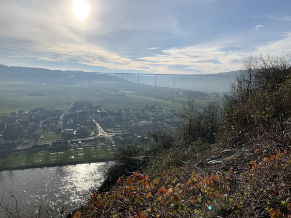 Ürziger Würzgarten Weinberg Mosel