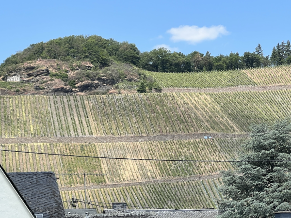 Wehlener Sonnenuhr Mosel