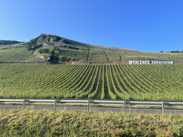 Wehlener Sonnenuhr Mosel