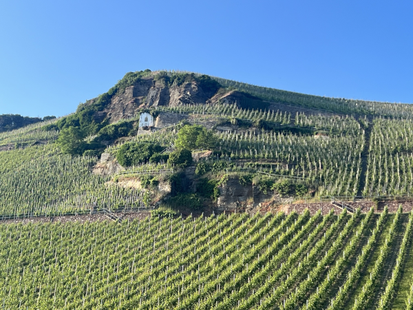 Wehlener Sonnenuhr Mosel