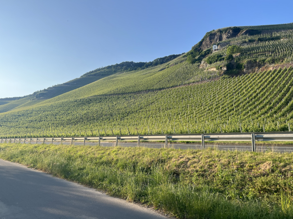 Wehlener Sonnenuhr Mosel