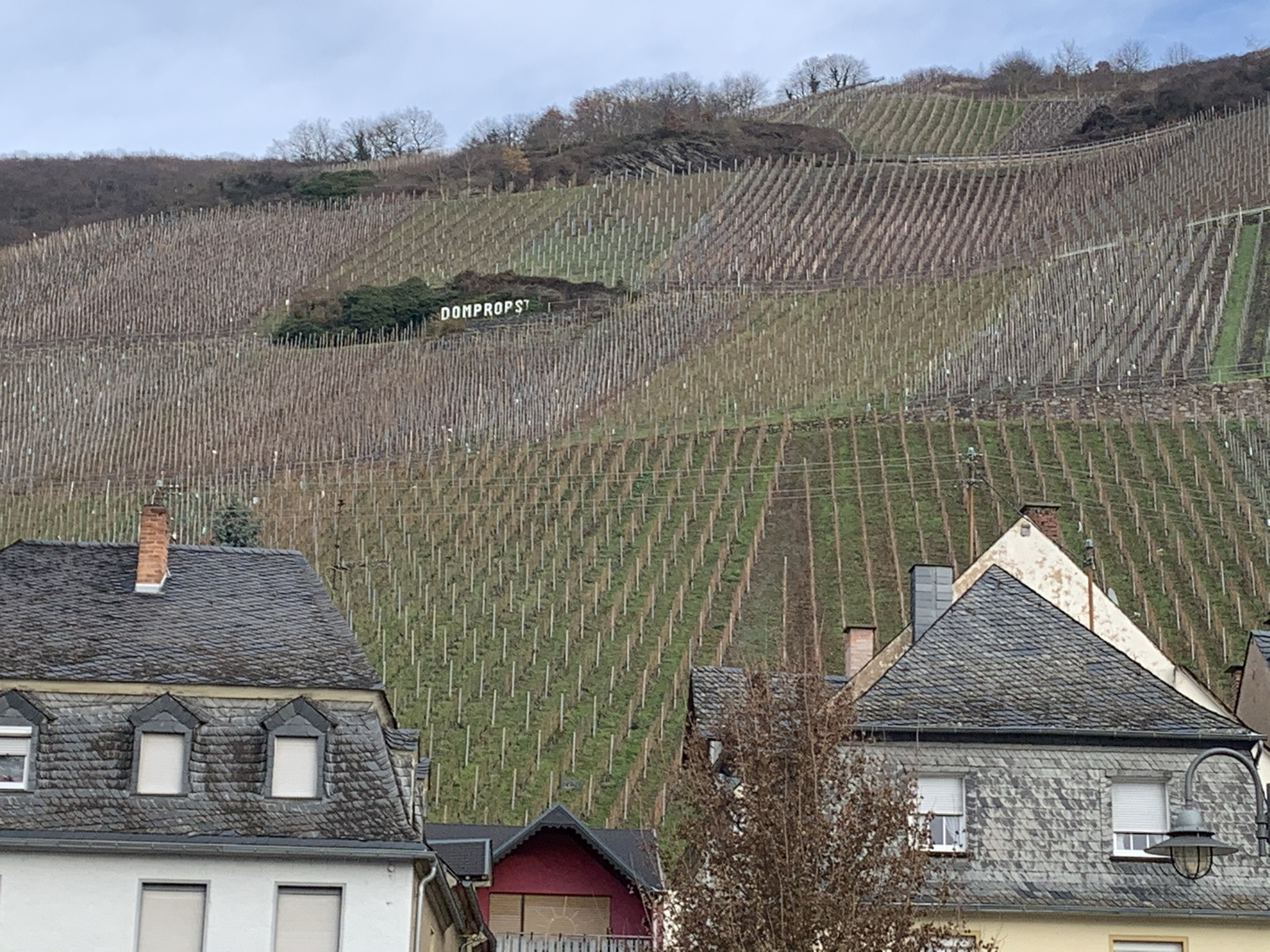 Graacher Domprobst Mosel