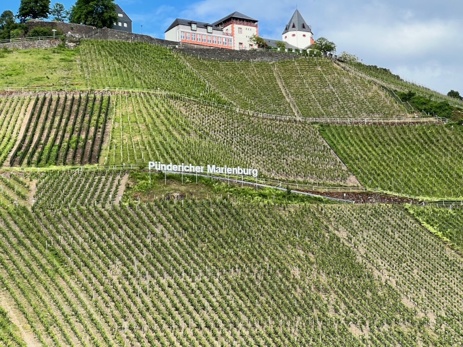 Pünderich Marienburg Mosel