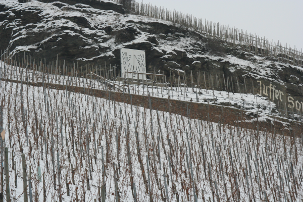 Weinberg  Brauneberger Juffer Sonnenuhr Mosel